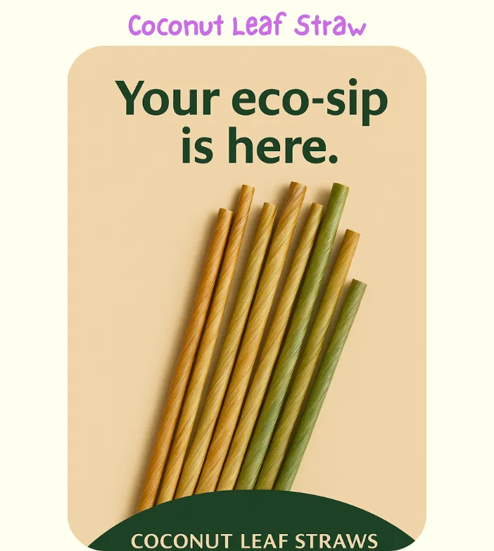 About Tera Green Comex