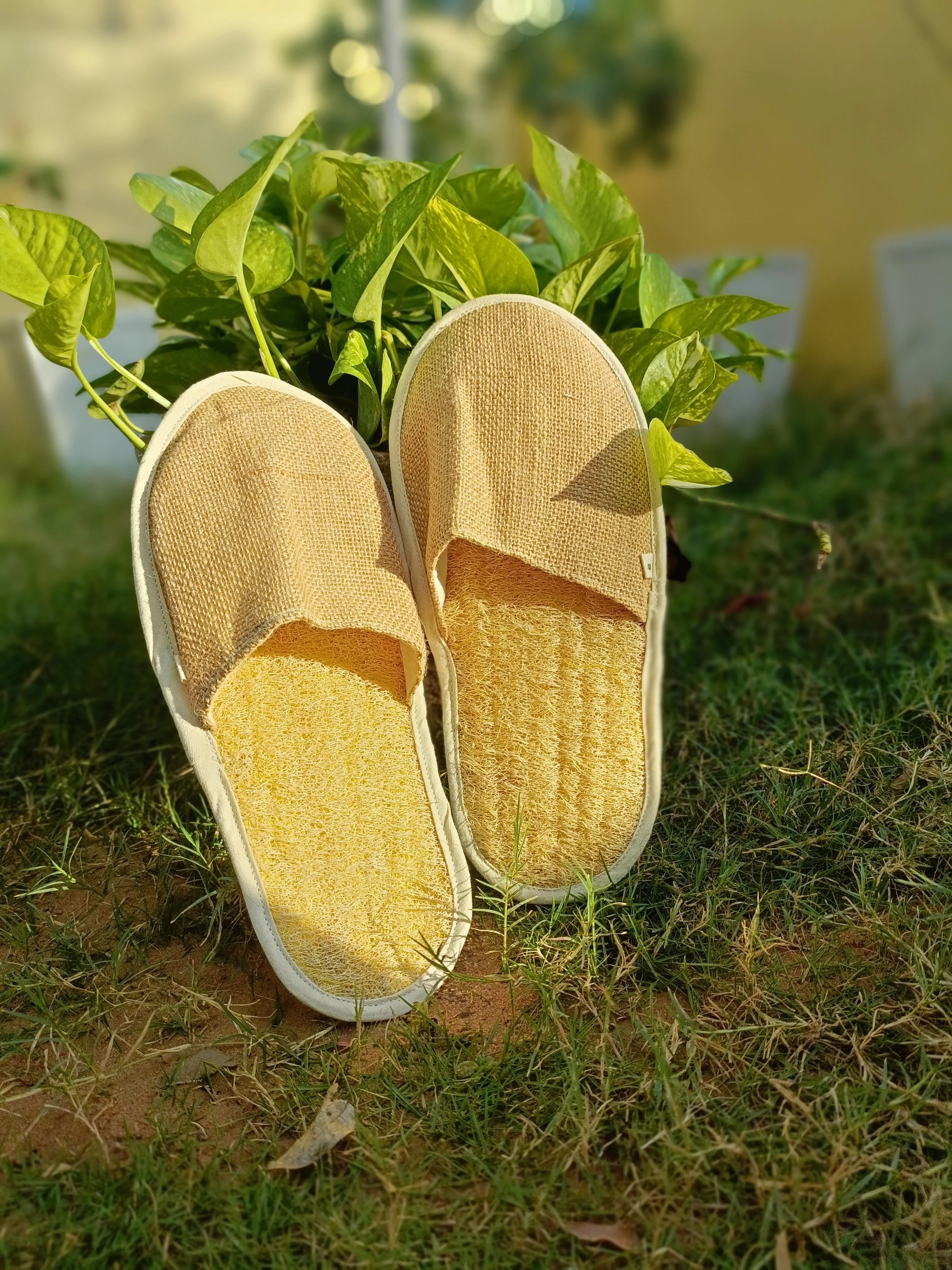 Tera Green Comex Slider - 2